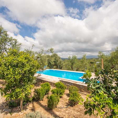 Hakuna Matata Holidays Wooden Lodge With Airco & Pool In Greek Olive Grove Methone Buitenkant foto