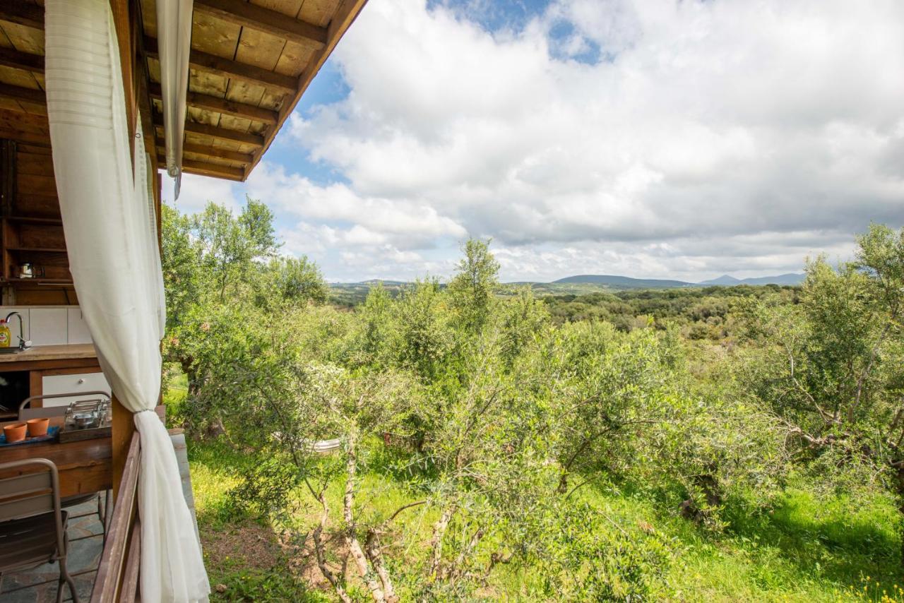 Hakuna Matata Holidays Wooden Lodge With Airco & Pool In Greek Olive Grove Methone Buitenkant foto