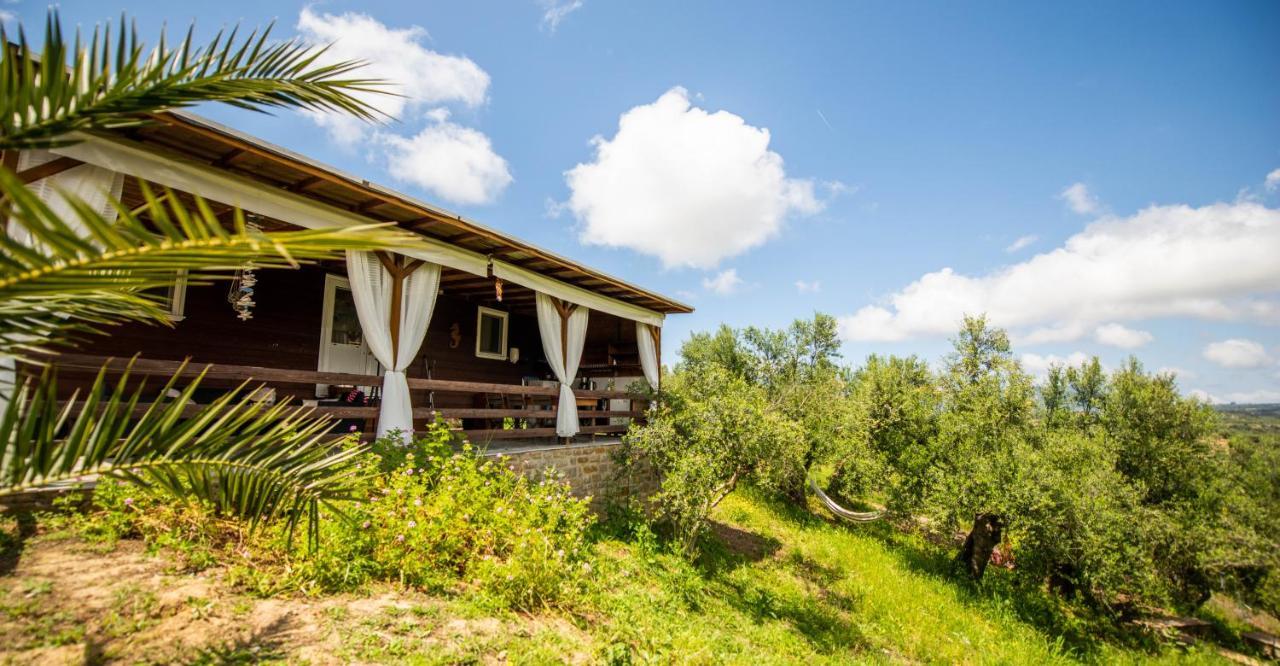 Hakuna Matata Holidays Wooden Lodge With Airco & Pool In Greek Olive Grove Methone Buitenkant foto