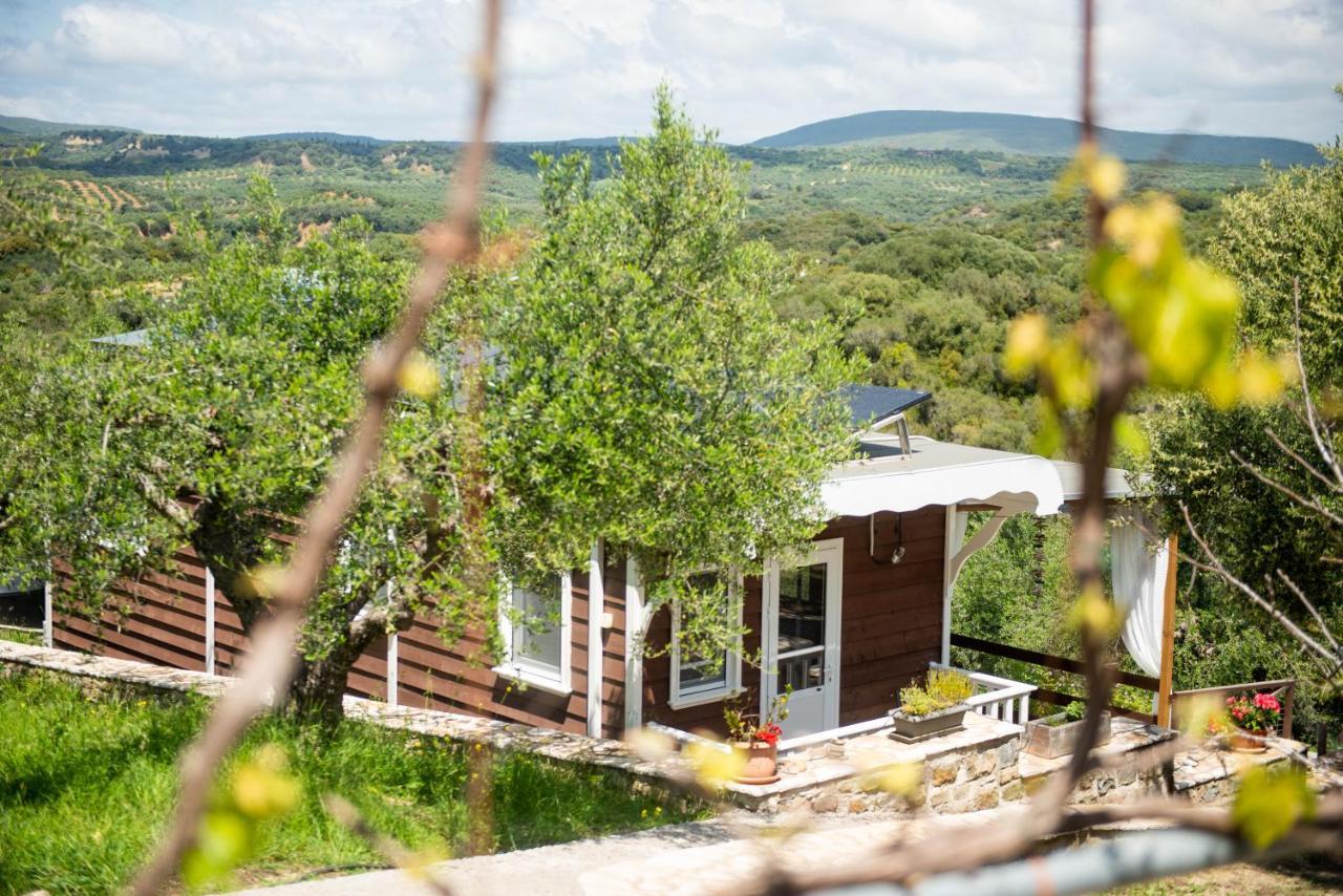Hakuna Matata Holidays Wooden Lodge With Airco & Pool In Greek Olive Grove Methone Buitenkant foto