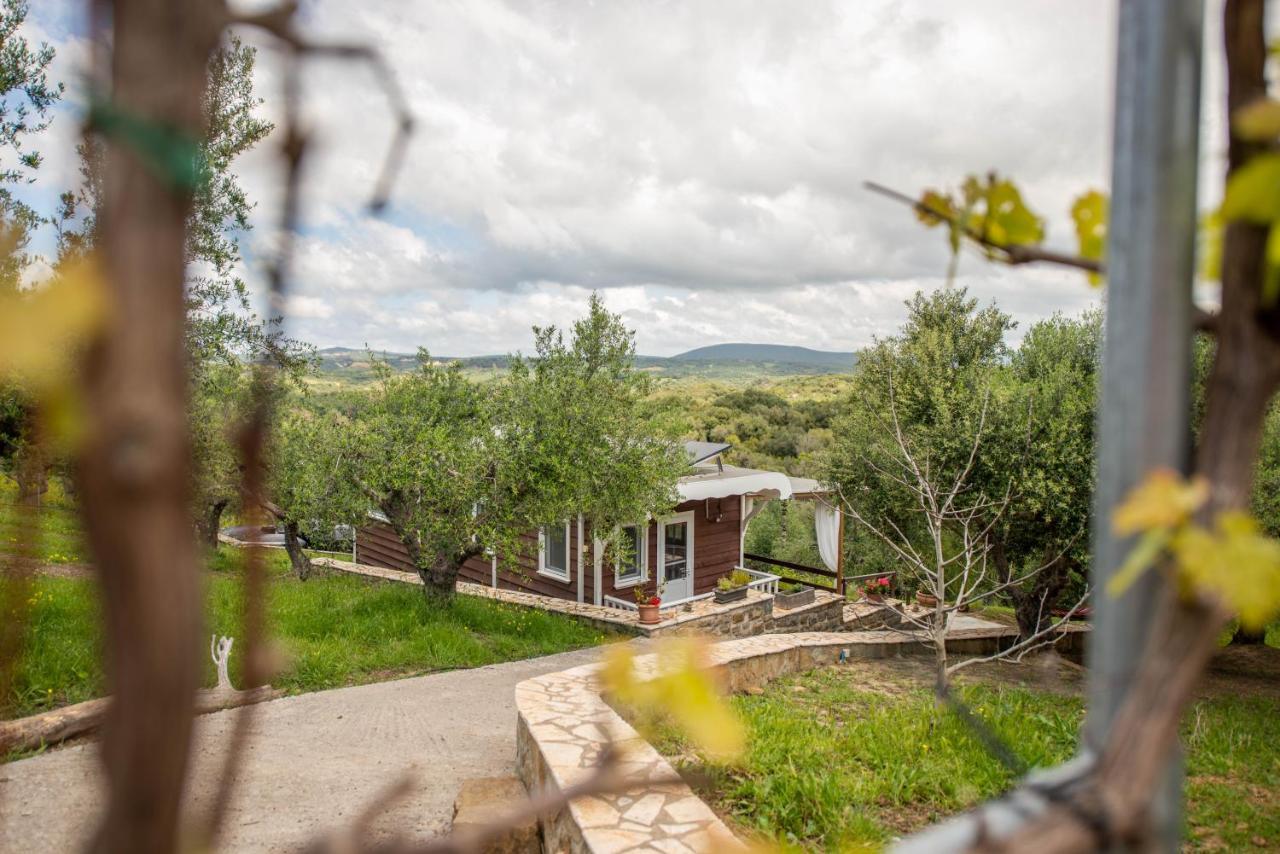 Hakuna Matata Holidays Wooden Lodge With Airco & Pool In Greek Olive Grove Methone Buitenkant foto