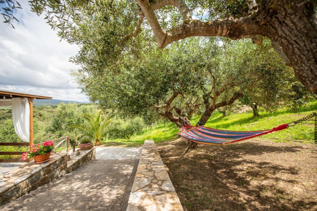 Hakuna Matata Holidays Wooden Lodge With Airco & Pool In Greek Olive Grove Methone Buitenkant foto