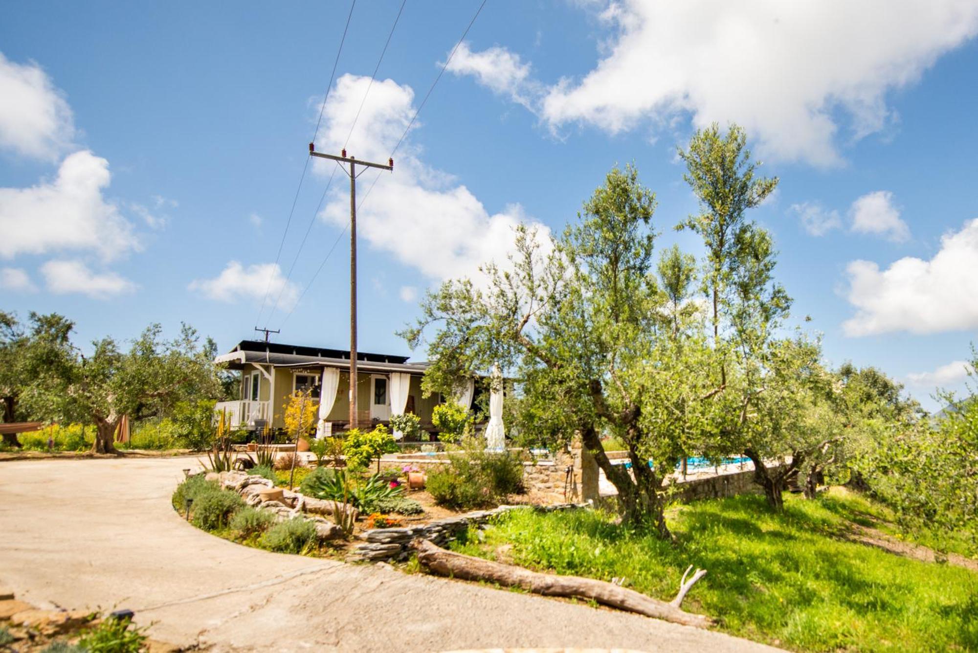 Hakuna Matata Holidays Wooden Lodge With Airco & Pool In Greek Olive Grove Methone Buitenkant foto